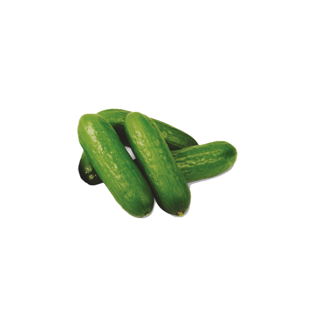 Pepino snack