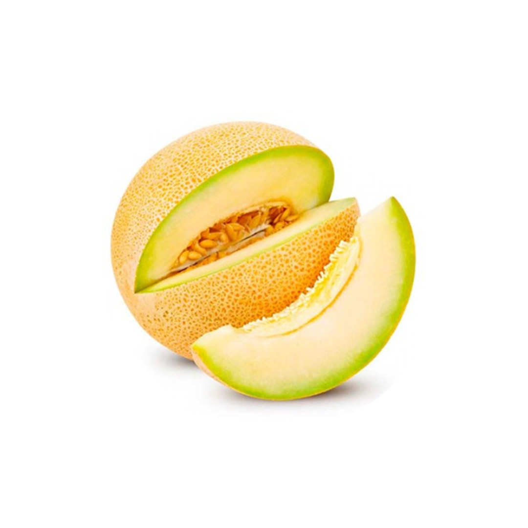 Melón Galia