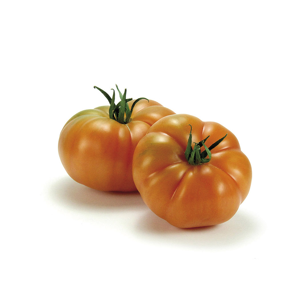 Tomate Rebelión