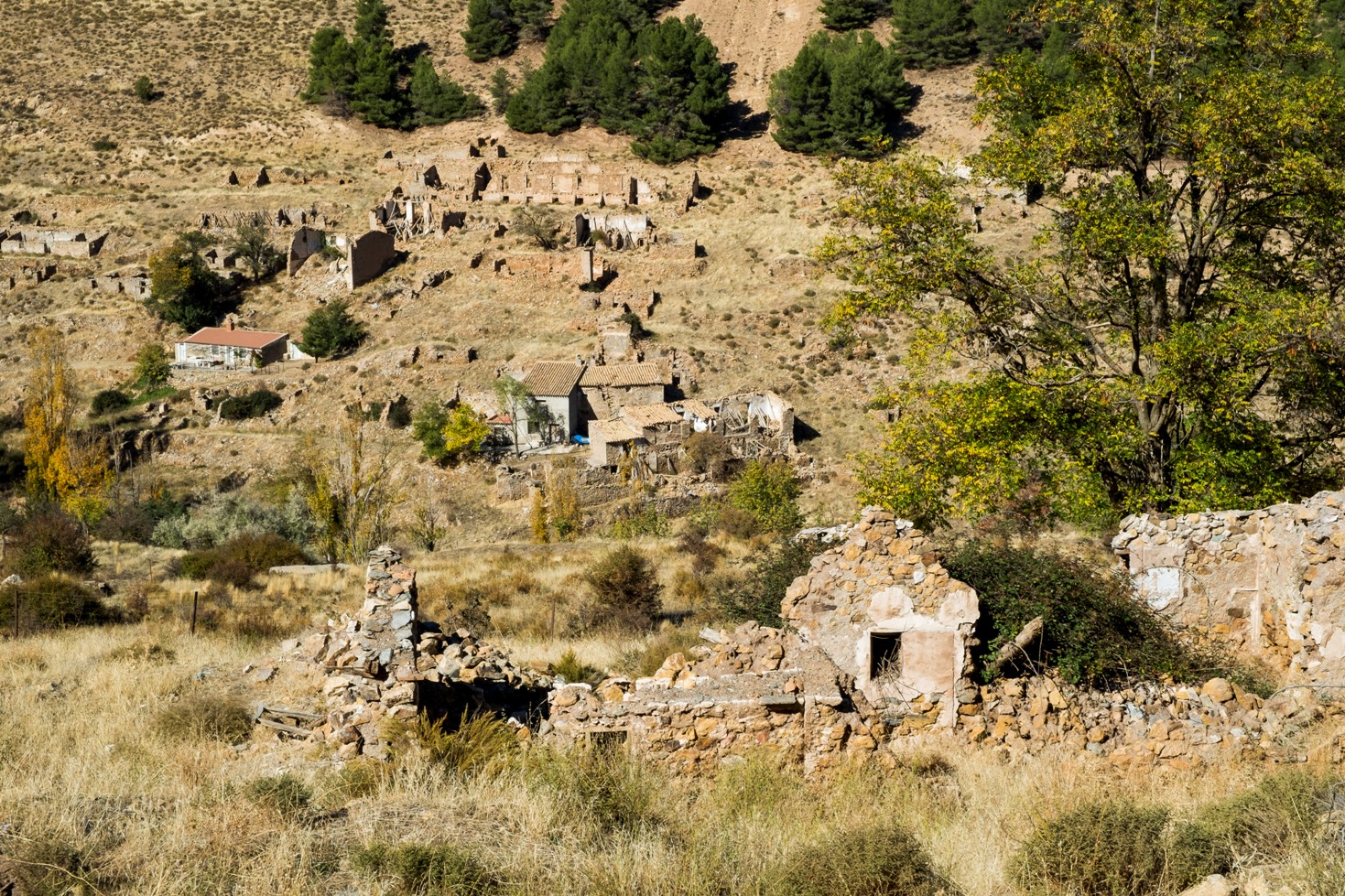 Ruinas del barrio obrero del poblado minero de Las Menas en Serón © Fotografía: Paco Bonilla