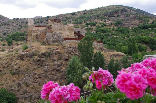 Vista del castillo de Bacares ©José Ángel Fernández