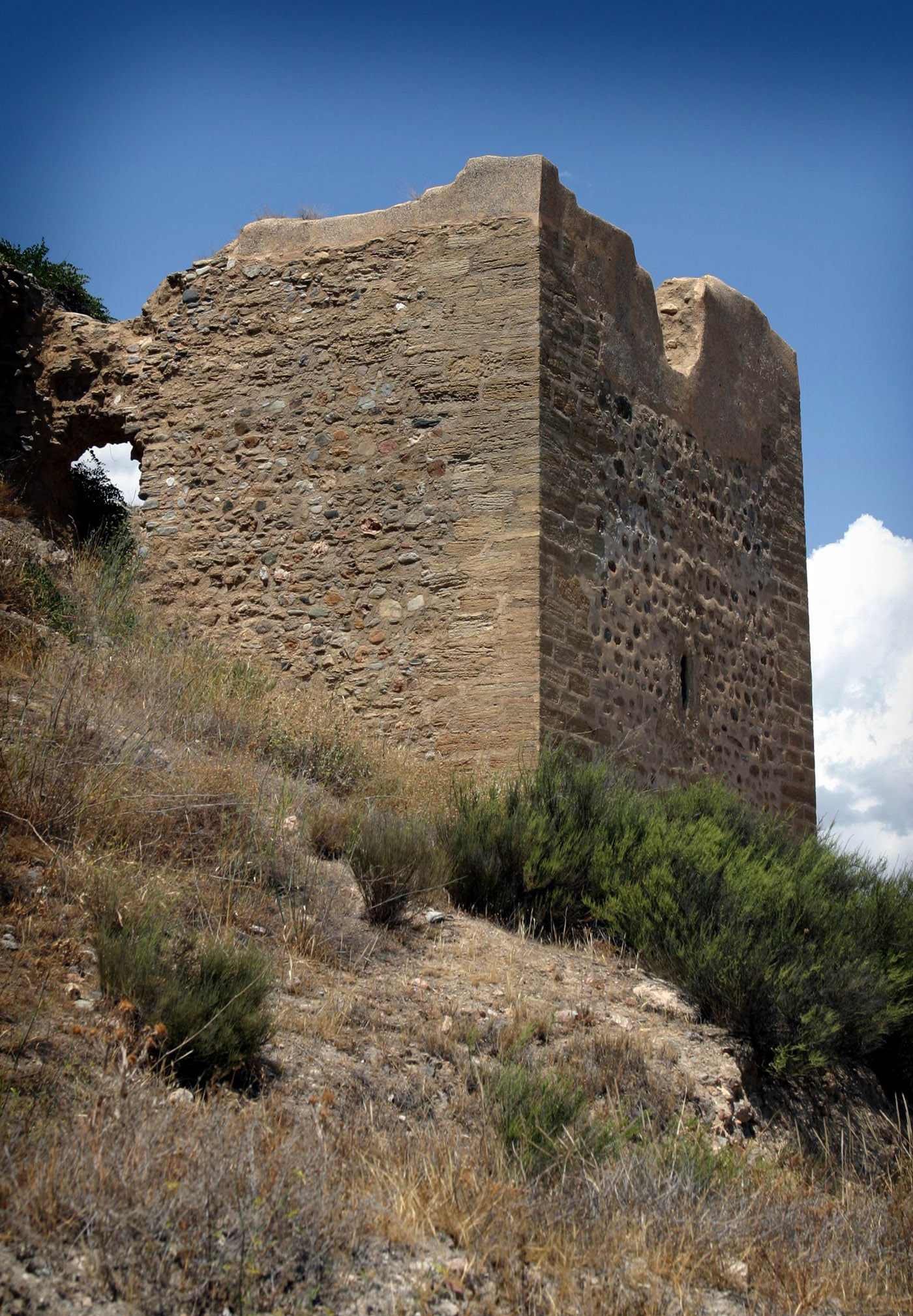 Vista general de la Alcazaba. © Fotografía: Rafael Pozo