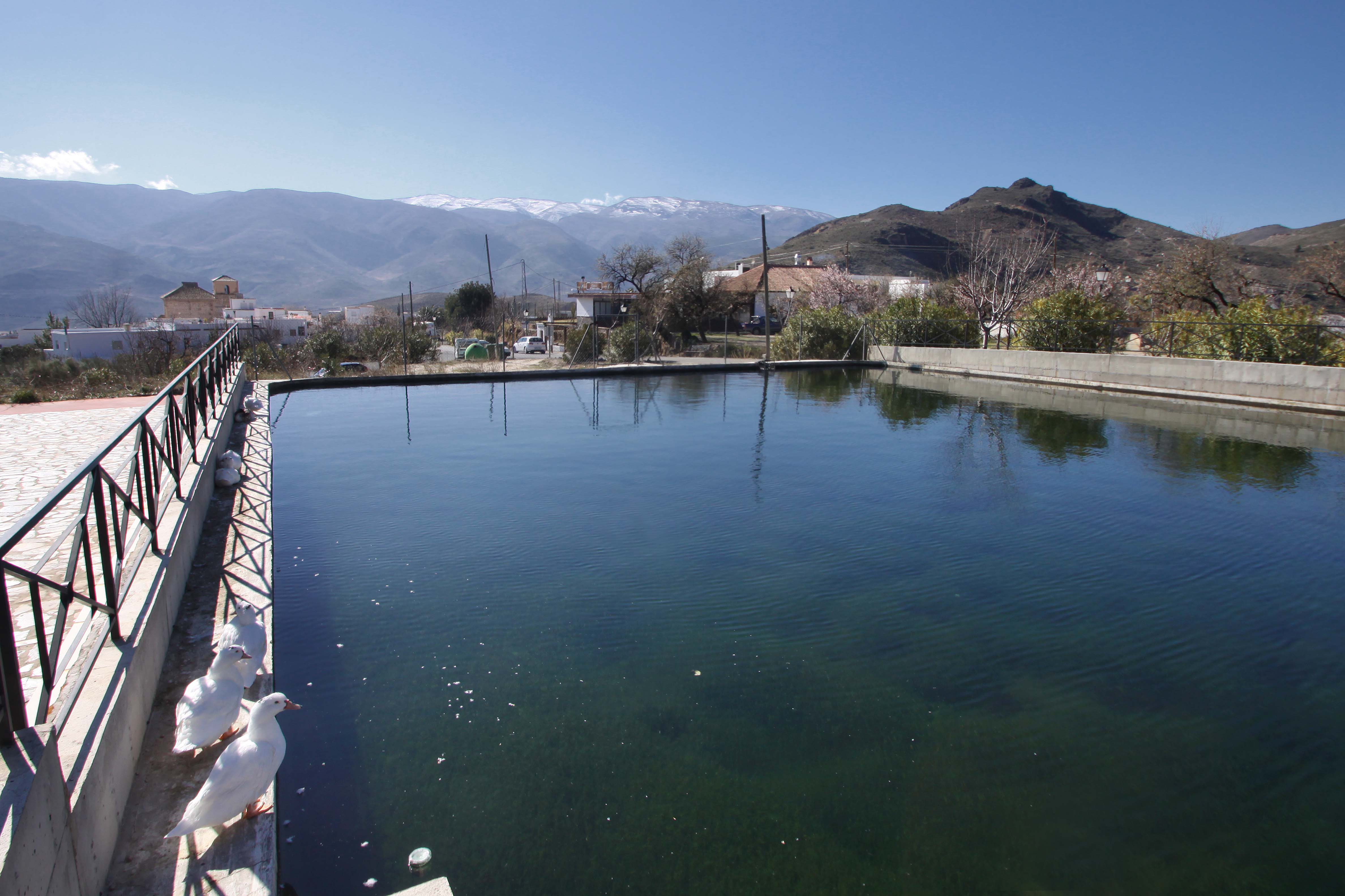 Balsa de las Espeñuelas y Sierra de Gádor al fondo © Fotografía: Pako Manzano