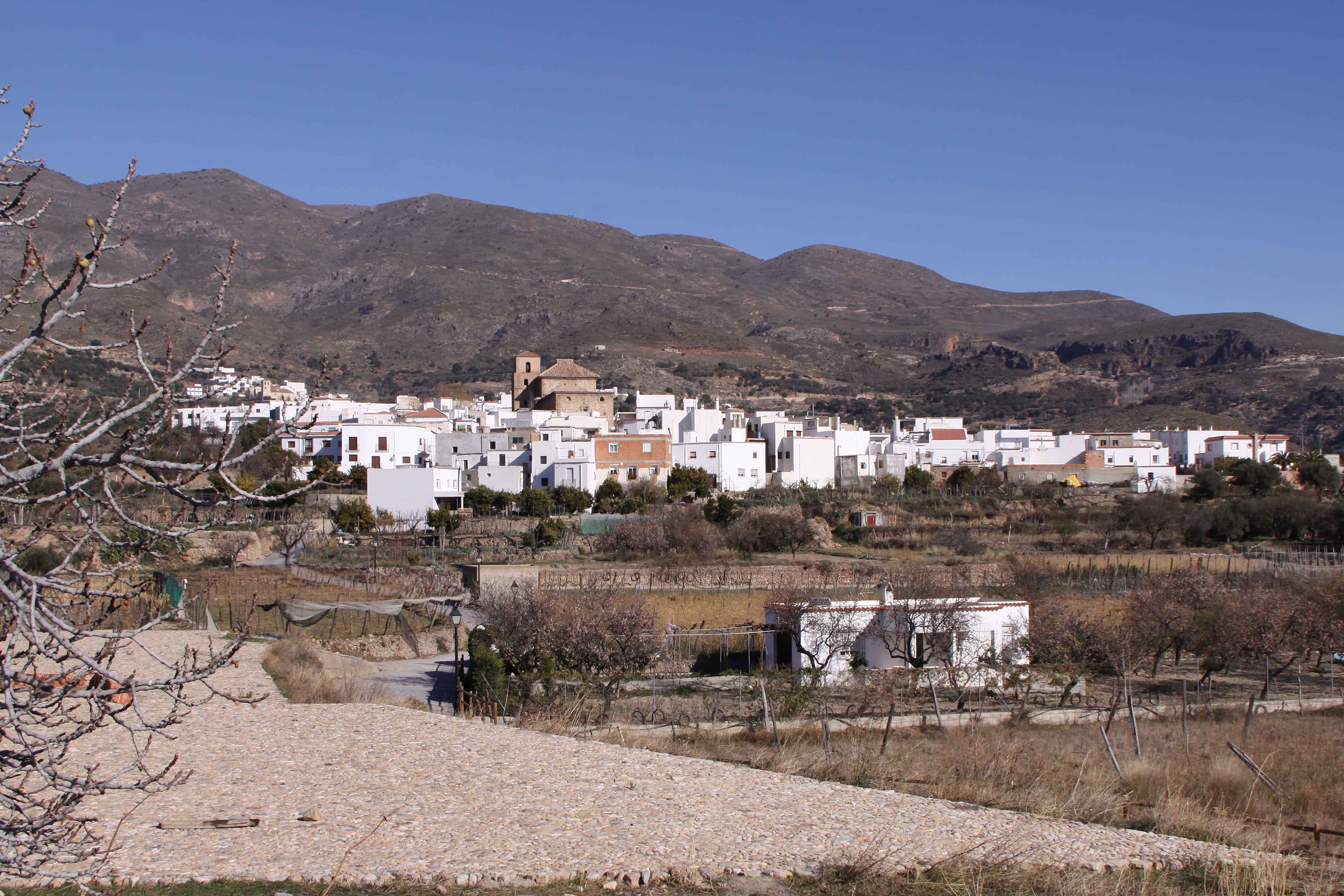 Vista general de Almócita desde la era de las Hazas © Fotografía: Pako Manzano