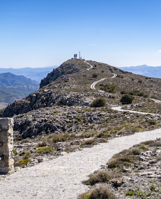Lobera