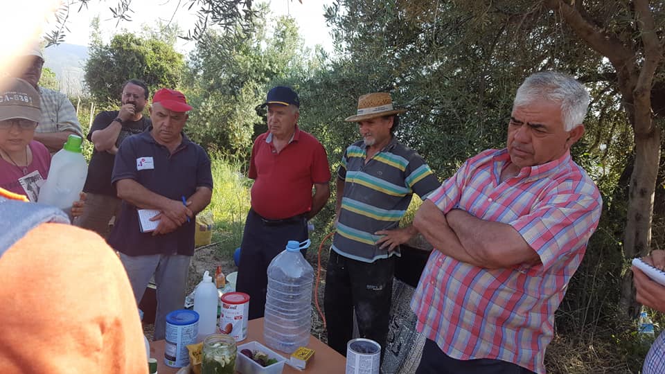 GENTE APRENDIENDO EN EL HUERTO ECOLÓGICO