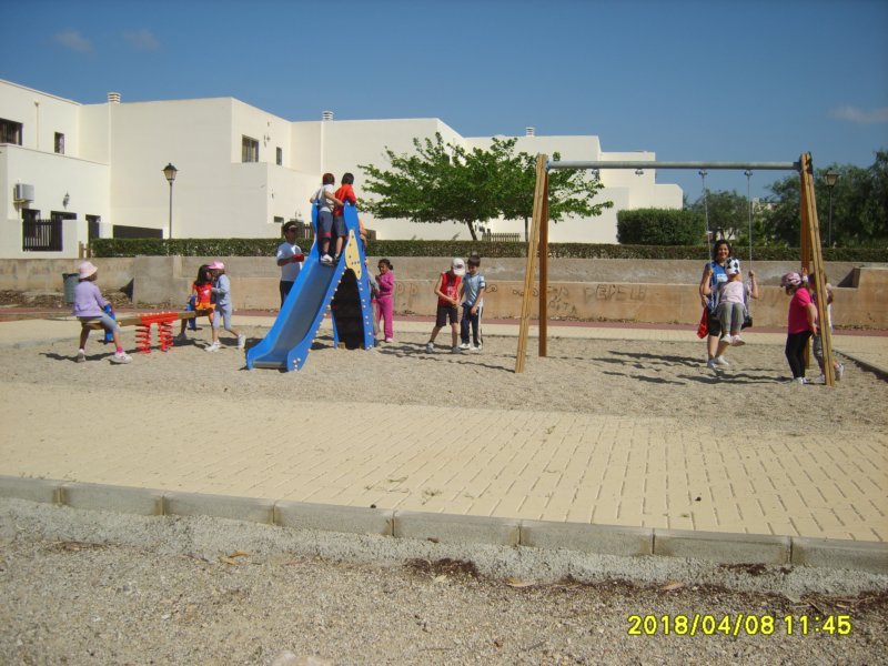 s8001370.jpg