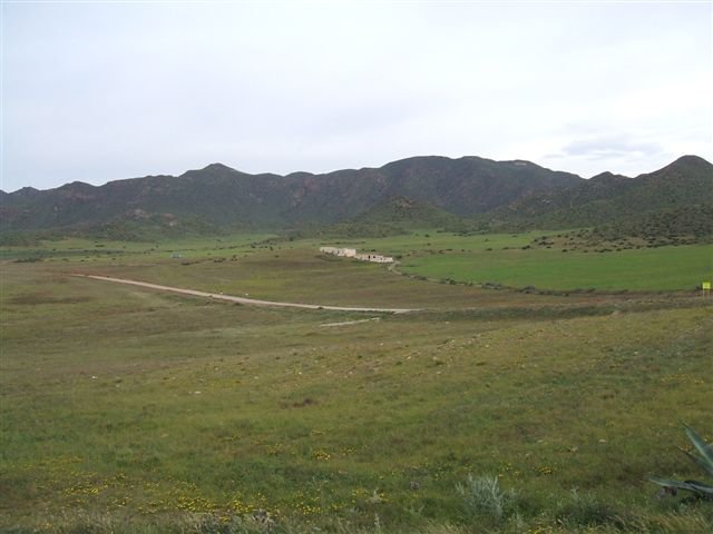dscf3699.jpg
