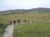 dscf3700_small.jpg