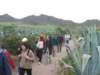 dscf3701_small.jpg