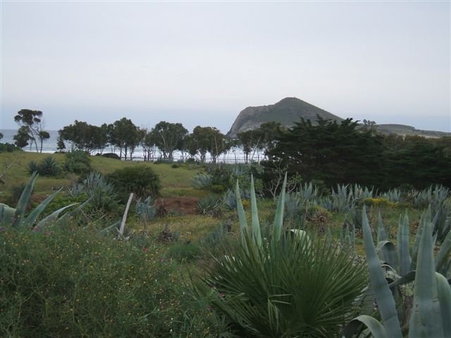 dscf3702.jpg