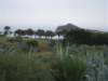 dscf3702_small.jpg