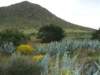 dscf3703_small.jpg