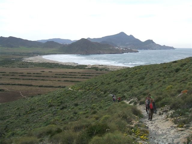 dscf3712.jpg
