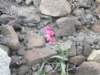 dscf3724_small.jpg