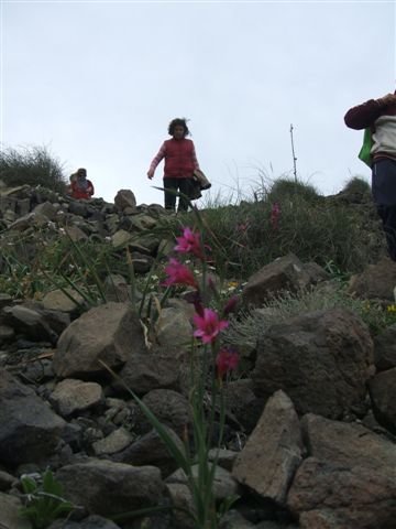 dscf3726.jpg