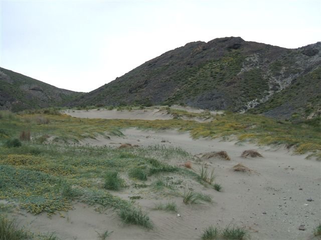 dscf3729.jpg