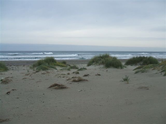 dscf3730.jpg