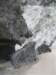 dscf3737_small.jpg