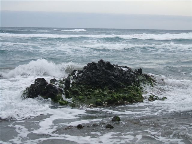 dscf3742.jpg