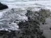 dscf3749_small.jpg
