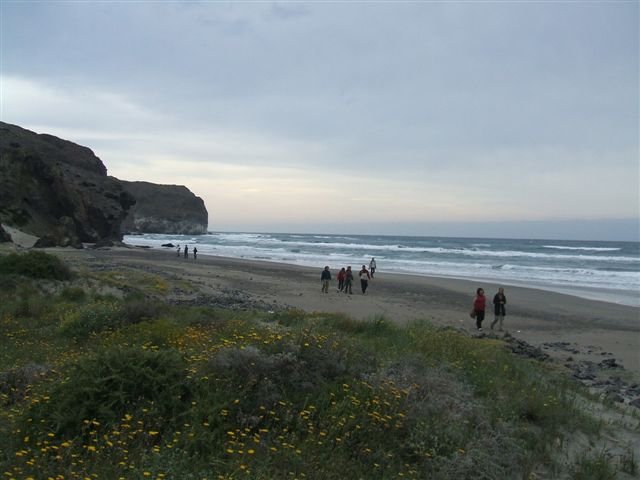 dscf3754.jpg