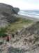 dscf3755_small.jpg