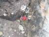 dscf3756_small.jpg