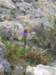 dscf3757_small.jpg