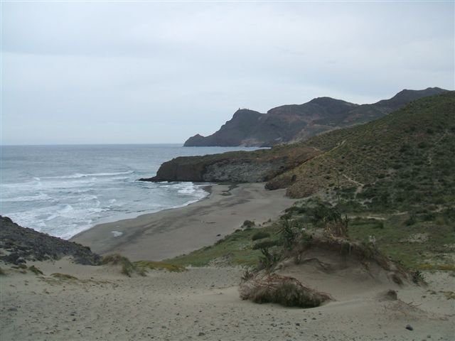 dscf3768.jpg