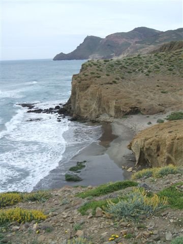 dscf3778.jpg