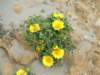 dscf3781_small.jpg