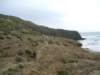 dscf3782_small.jpg