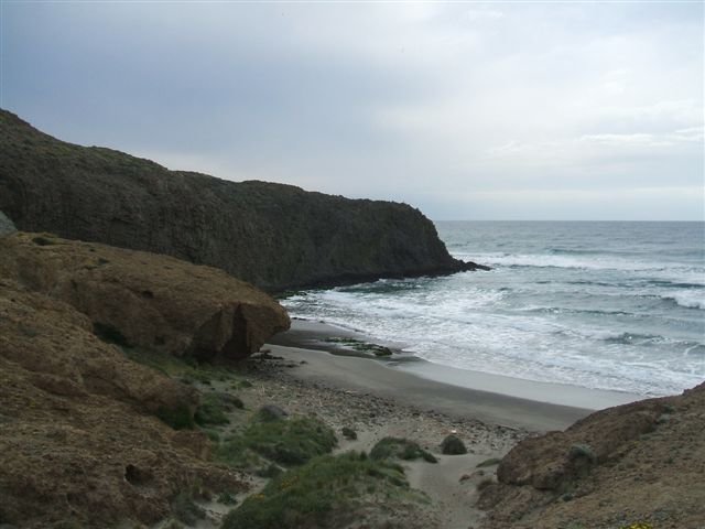 dscf3783.jpg