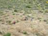 dscf3785_small.jpg