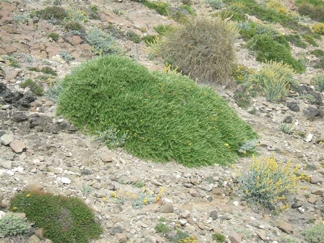 dscf3786.jpg