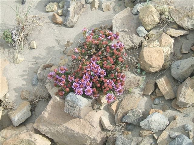 dscf3792.jpg