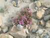 dscf3792_small.jpg