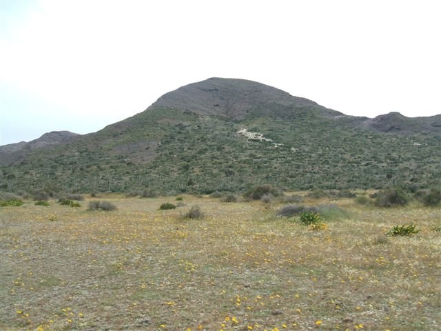 dscf3799.jpg