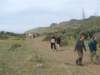 dscf3800_small.jpg