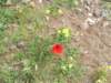 dscf3802_small.jpg