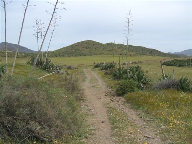 dscf3804.jpg