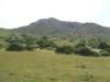 dscf3805_small.jpg