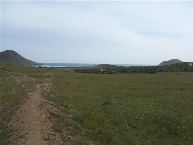 dscf3810.jpg