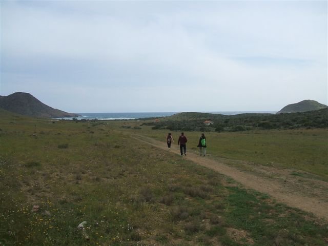 dscf3813.jpg