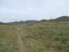 dscf3816_small.jpg