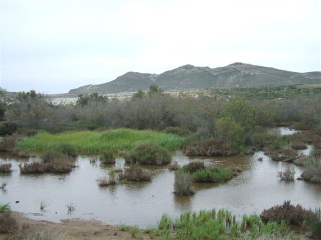 dscf3818.jpg
