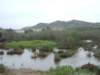 dscf3818_small.jpg