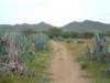 dscf3820_small.jpg
