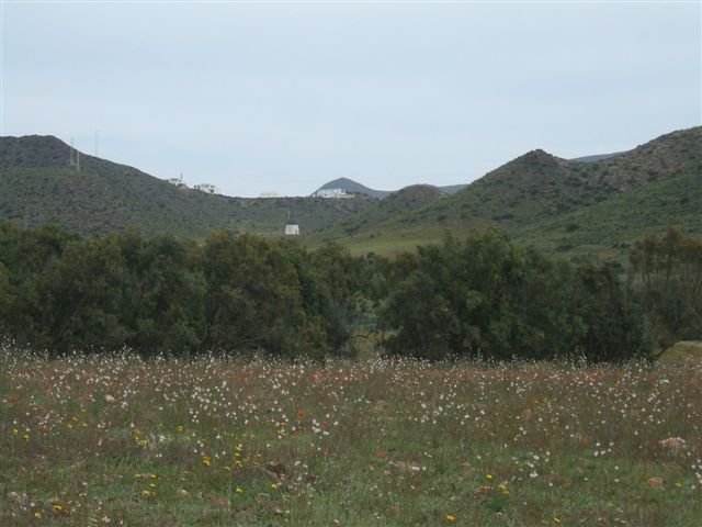 dscf3821.jpg